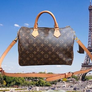 Louis Vuitton Speedy 30 Monogram